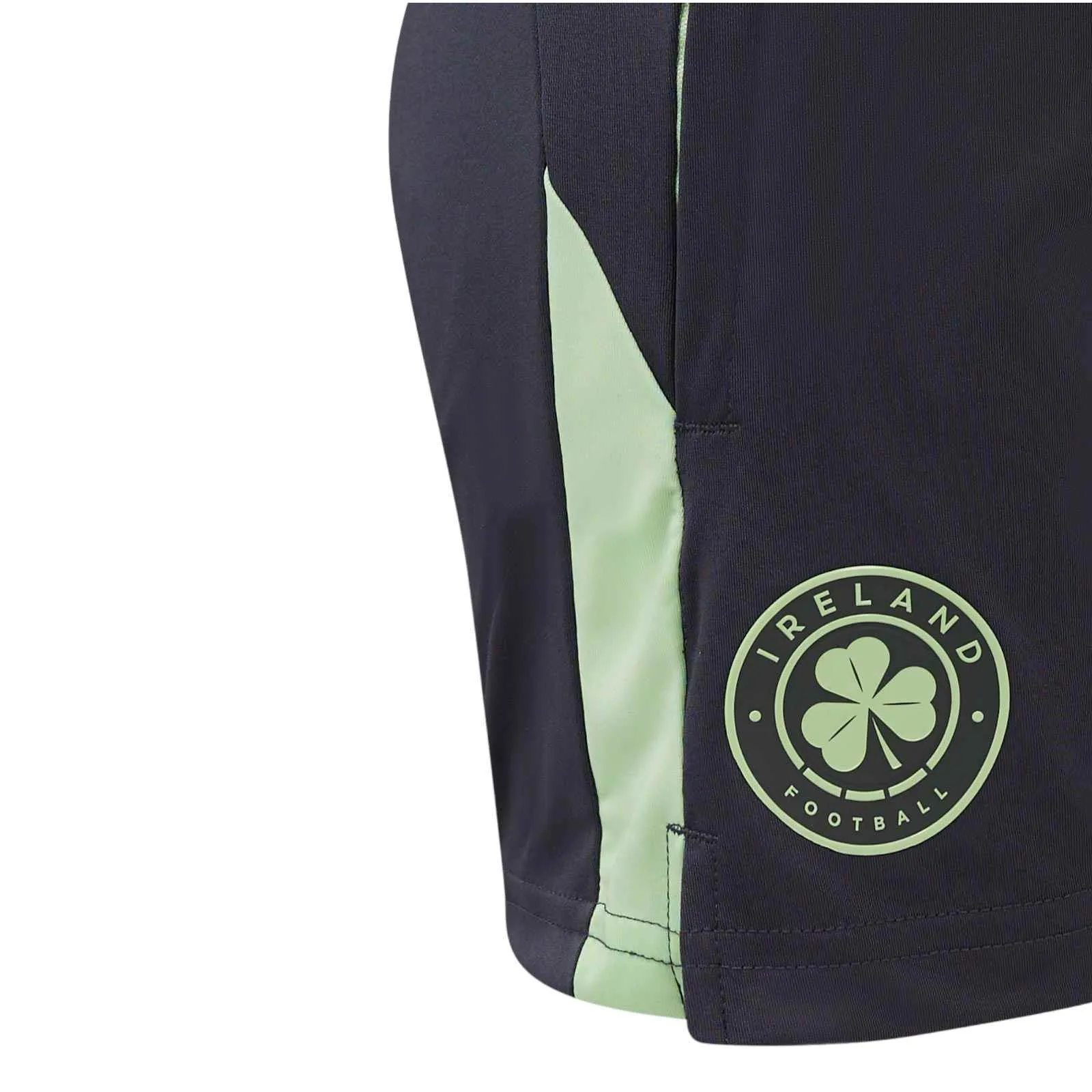 Castore FAI 2024 Kids Training Shorts