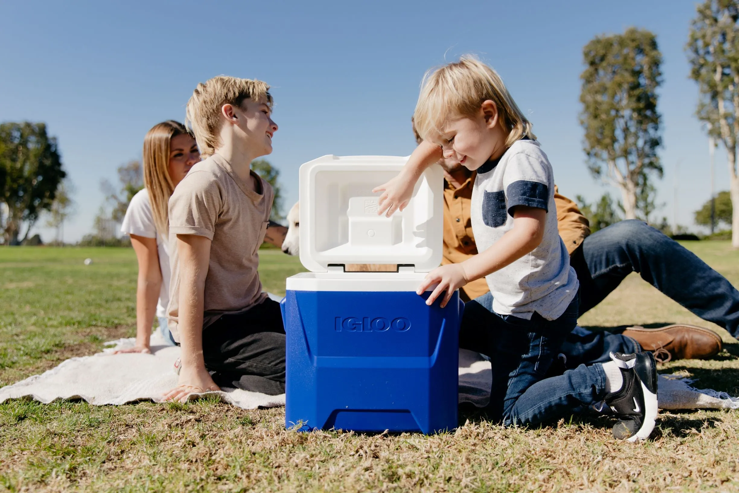 Igloo 16 qt. Laguna Ice Chest Cooler with Wheels, Blue