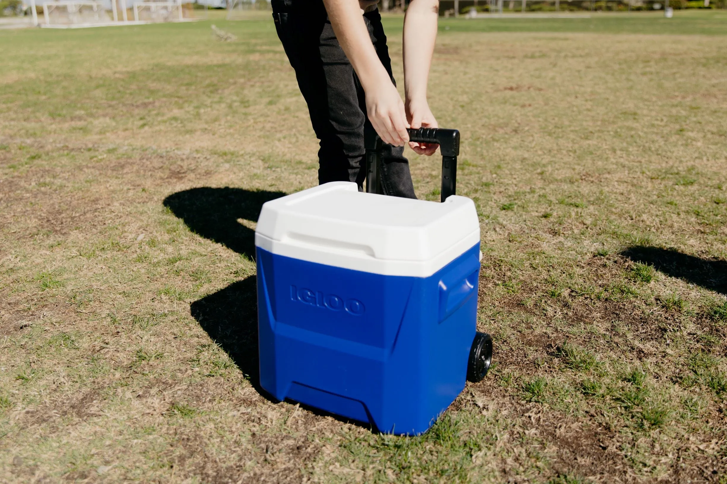 Igloo 16 qt. Laguna Ice Chest Cooler with Wheels, Blue