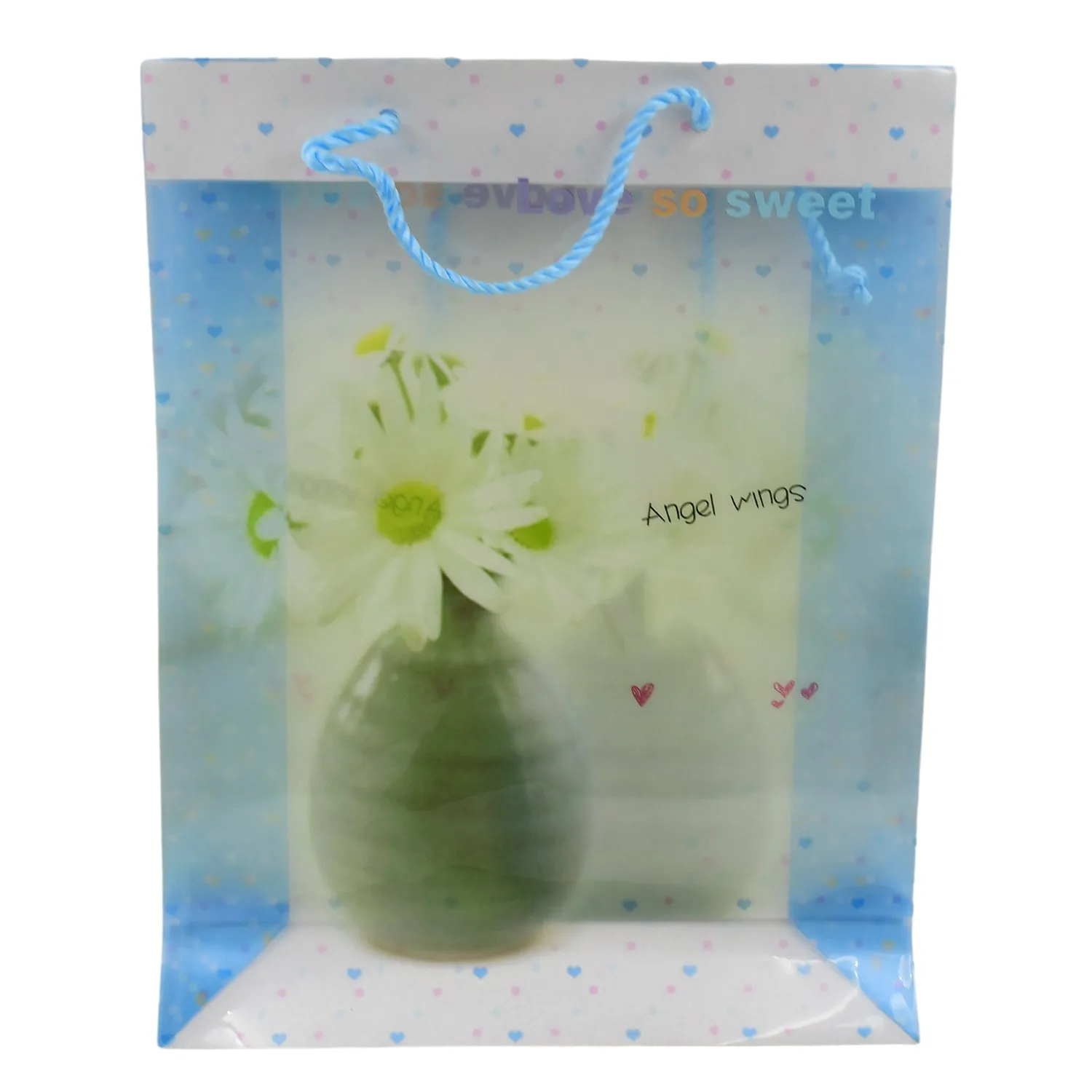 Plastic Transparent Bag With Handle (1 Pc / 34 x 26 Cm)