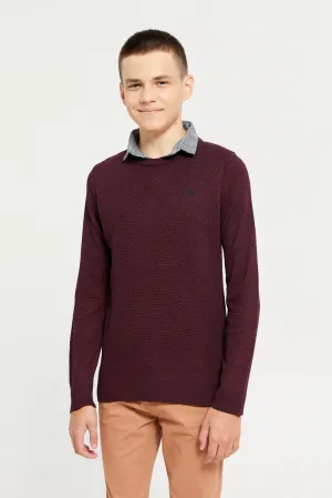 Senior Boys Burgundy Collared Sweater